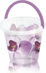 Branq Kibiras 10L, Orchidėjos