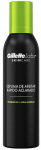Gillette Skincare Labs Espuma De Afeitar, 240 ml