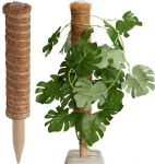 ProGarden Kokosinė augalų atrama 50 cm