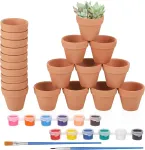 20 molinių vazonų rinkinys, maži, 3 x 3,5 cm mini gėlių vazonai, moliniai vazonai dekoravimui su 2 teptukais ir 12 spalvų, galite pasidaryti patys mažus molinius vazonus, terakotiniai gėlių vazonai vidaus ir lauko dekoravimui