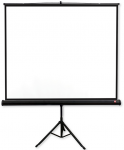 Projektoriaus ekranas Avtek Tripod PRO 180 (1EVT13)