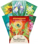 Findhorn Press Soulflower Plant Spirit Oracle Kortos