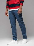 Blue men's pants mėlynas