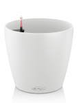 Lechuza Classico Color 35