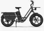 Elektrinis dviratis Fiido T2, 20", 750W, pilkas