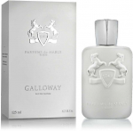 Parfums de Marly Galloway Eau De Parfum 125ml ni&scaron;iniai kvepalai Vyrams
