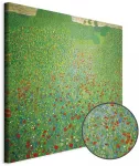 Paveikslas Gustav Klimt - Aguonų laukas