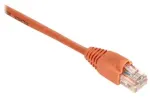 Black Box Juodas Box 3 m UTP Cat6, 3 m, Cat6, U/UTP (UTP), RJ-45, RJ-45, Oranžinė