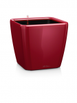 Lechuza Quadro 35