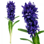 Dirbtinė hiacinto &scaron;aka, violetinė, 1 vnt.