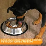 Neater Pet Brands nerūdijančio plieno lėto ėdimo dubuo, neslystantis, apsaugantis nuo greito &scaron;unų maisto i&scaron;blukimo, pilvo pūtimo, vir&scaron;kinimo ir greito ėdimo (ypač didelis, 5 puodeliai)