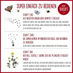 Seedball Lauko gėlių aguonų sėklų rutuliukai (3 vnt.) &ndash; 6 sėklos vienoje skardinėje | Gražios raudonos