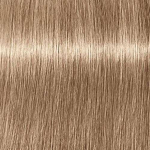 Schwarzkopf Igora Royal Absolutes ilgalaikio poveikio žilų plaukų dažai 60 ml - 8-140