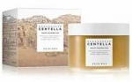 SKIN 1004 Skin1004 Madagascar Centella Quick Calming Pad raminamieji veido padeliai 70 vnt