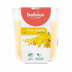 Bolsius Žvakių kvapo stiklinis indelis &bdquo;True Scents&ldquo; &Oslash;97x85mm mimosa