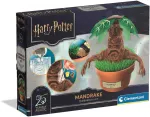 Clementoni - Mandrake - Terrarium Kit (I-19458)