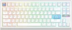 EPOMAKER belaidė žaidimų klaviatūra G84 HE, magnetiniai Hall efektų jungikliai, RGB, QWERTY, 8K Hz, Win/Mac
