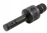 Technaxx Bluetooth belaidis mikrofonas Musicman Karaoke Pro Bt-x35 juodas Mp3iwav