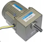 Vienfazis reduktorius su varikliu 250 aps/min 230v 25w