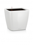 Lechuza Quadro 35
