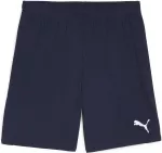Puma &Scaron;ortai Vyrams TeamGoal Shorts Navy 705752 06
