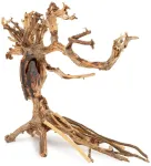Art-Pol Skęstantis bonsai medelis Nr. 14 30x25