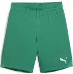 Puma Pums &Scaron;ortai Paaugliams TeamGoal Shorts Jr Žalias 705753 05