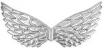 Widmann Sidabriniai sparneliai, 43 x 22 cm