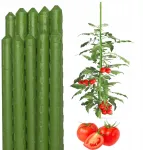 Bradas 10 vnt. augalų atrama, dengtas plieno kuolas pomidorams, gėlėms, 120 cm