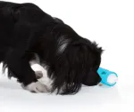 Edupet Amigo interaktyvus žaislas-maisto dozatorius &scaron;unims Dog-n-roll, 10 cm