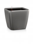 Lechuza Quadro 35