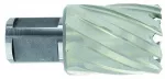 Tivoly Metalo gręžimo freza &Oslash;25X60X30 мм HSS, tvirtinimas &Oslash;19 мм, Weldon