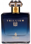 Emir Trillium EDP parfumuotas vanduo vyrams, 100 ml