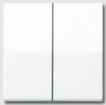 Dvigubas klavi&scaron;as AS591-5WW baltas JUNG