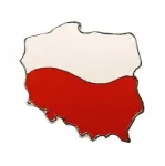 Pin'as atlapas &scaron;varkas kostiumas Lietuvos forma segė pagaminta Lenkijoje