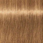 Schwarzkopf Igora Royal Absolutes ilgalaikio poveikio žilų plaukų dažai 60 ml - 8-50