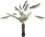 Dirbtinis augalas Palmė Hovėja, 260 cm