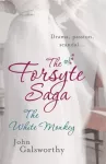 KNYGA John Galsworthy Forsyte Saga 4: The Baltas Monkey