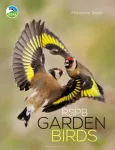 KNYGA Marianne Taylor RSPB Garden Birds