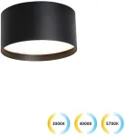 Sieninis &scaron;viestuvas 15W LED lubinis fasado &scaron;viestuvas GABRIEL, juodas, 3000/4000/5700&Kappa;, IP44, 4336101