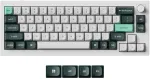 Klaviatūra Keychron Q2 HE QMK Gateron Double-Rail Magnetic Nebula (Q2H-P1)