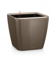 Lechuza Quadro 43