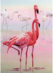 RIOLIS: Siuvinėjimo rinkinys su ant medžiagos atspaustu pie&scaron;iniu &bdquo;Flamingai&ldquo; 0012 PT (30x40 cm)