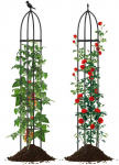 Bonideco Select Rinkinys i&scaron; 2 augalų atramų 30x197cm., juodos spalvos