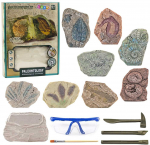 Lean Toys Paleontology Excavation Kit Plaster Block Tools