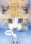 A4 formato elastinis aplankas &bdquo;Cat Friends Forever&ldquo;
