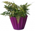 Dekoratyvinis gėlių vazonas &Oslash;14cm H14cm violetinis