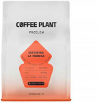COFFEE PLANT - Costa Rica La Promesa Natural Filter 250 g