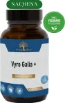 Sveikadienis Vyro Galia + - prostatos komfortui, vyri&scaron;kam gyvybingumui ir energijai