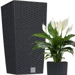 Vazonas RATO SQUARE su įdėklu, 61 cm, anthracite